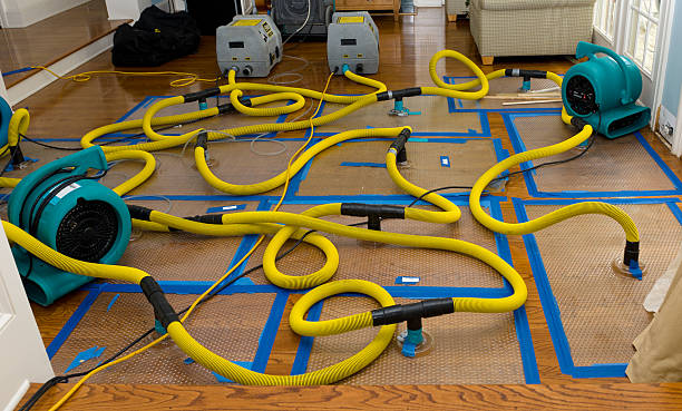 Professional Storm Water Damage Restoration technician working in Guadalupe, CA